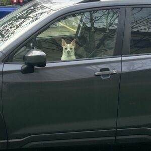 Meet your Posher, Melia